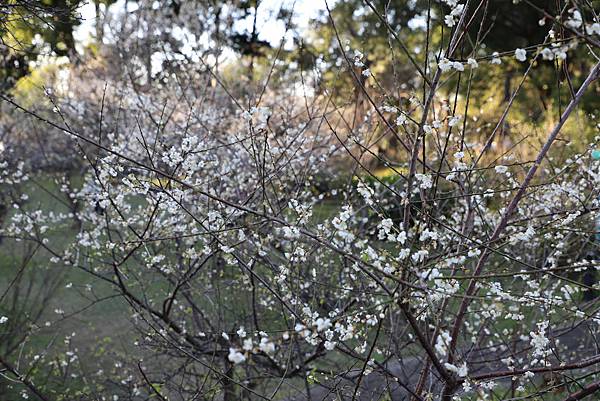 IMG_0805.JPG IMG_0805.JPG