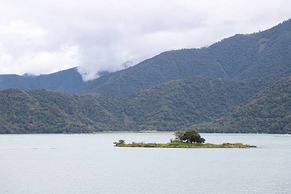 IMG_1453.JPG IMG_1453.JPG