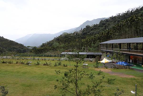 IMG_1595.JPG IMG_1595.JPG