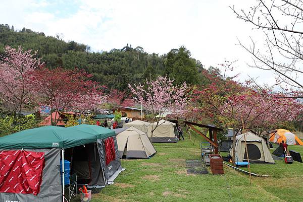 IMG_2265.JPG IMG_2265.JPG