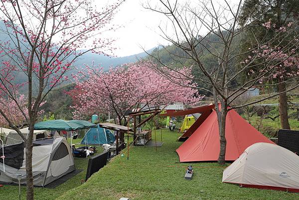 IMG_2251.JPG IMG_2251.JPG