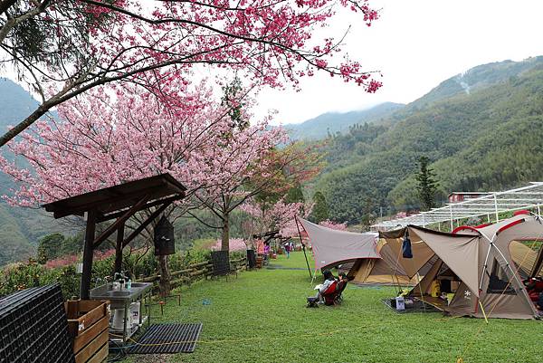 IMG_2289.JPG IMG_2289.JPG