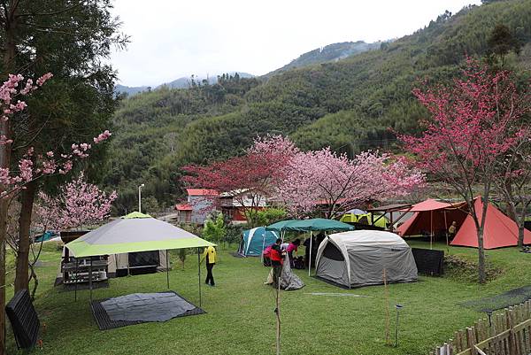 IMG_2279.JPG IMG_2279.JPG