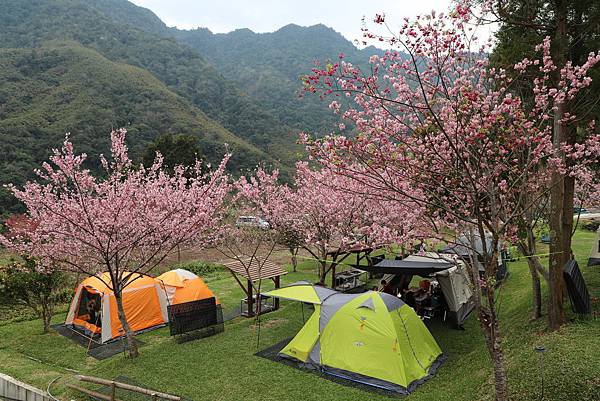 IMG_2278.JPG IMG_2278.JPG