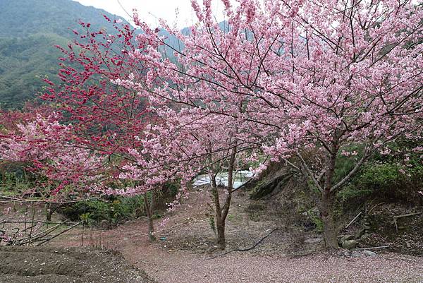 IMG_2323.JPG IMG_2323.JPG