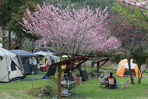 IMG_2353.JPG IMG_2353.JPG