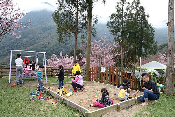 IMG_2361.JPG IMG_2361.JPG