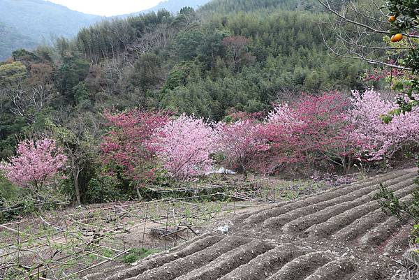 IMG_2319.JPG IMG_2319.JPG