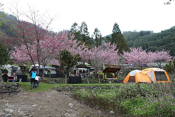 IMG_2352.JPG IMG_2352.JPG