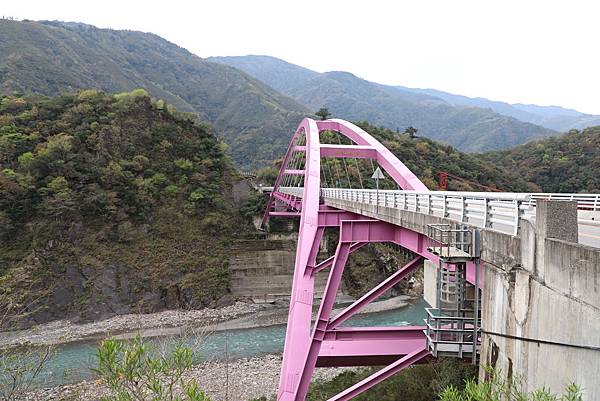 IMG_1882.JPG IMG_1882.JPG