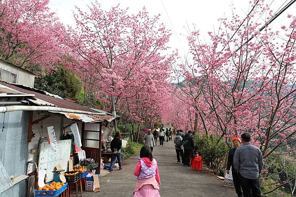 IMG_1934.JPG IMG_1934.JPG