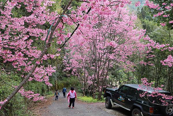 IMG_1963.JPG IMG_1963.JPG