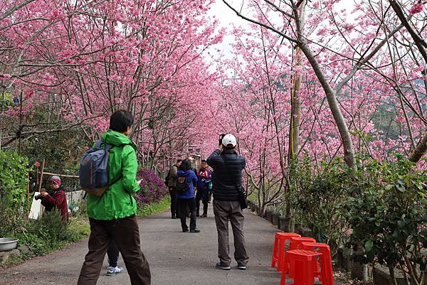 IMG_2052.JPG IMG_2052.JPG