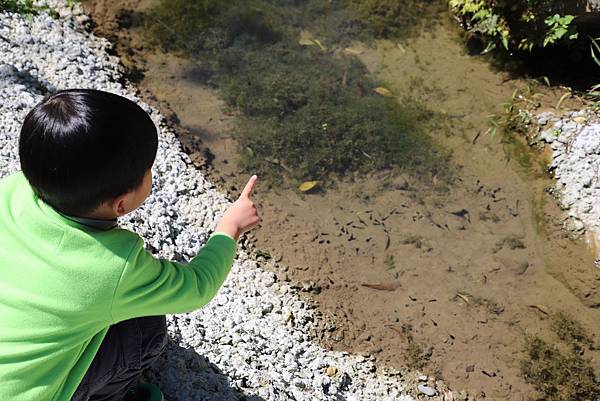 IMG_2494.JPG IMG_2494.JPG