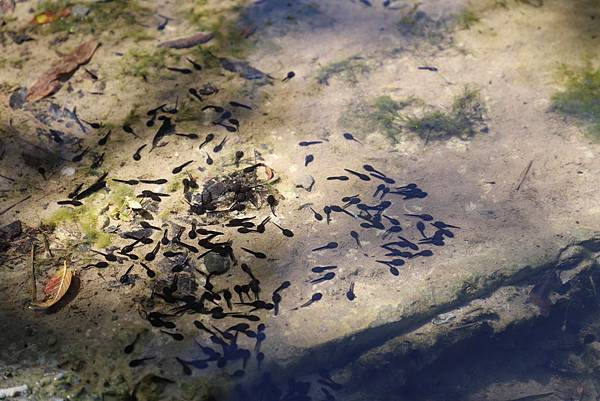 IMG_2500.JPG IMG_2500.JPG