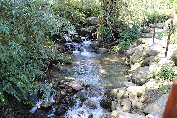 IMG_2517.JPG IMG_2517.JPG