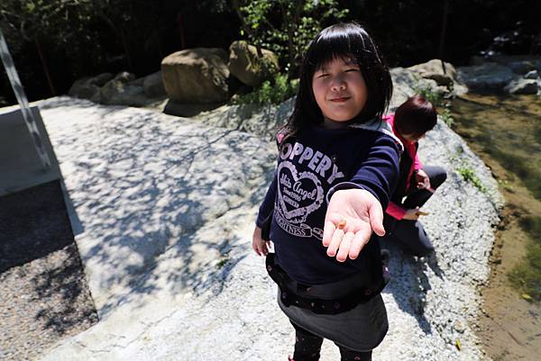 IMG_2558.JPG IMG_2558.JPG