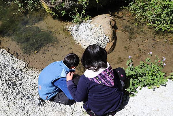 IMG_2552.JPG IMG_2552.JPG