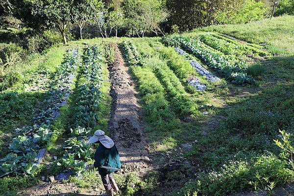 IMG_2568.JPG IMG_2568.JPG