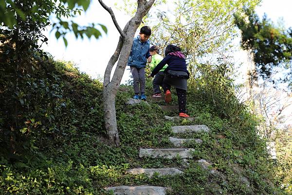 IMG_2593.JPG IMG_2593.JPG