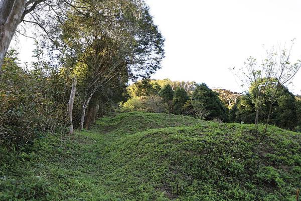 IMG_2597.JPG IMG_2597.JPG