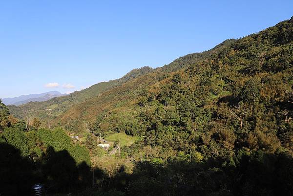 IMG_2598.JPG IMG_2598.JPG