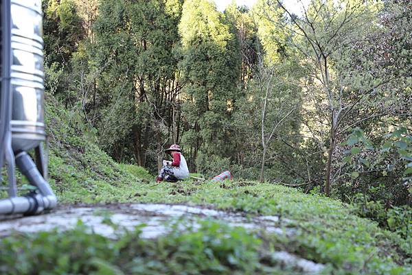 IMG_2617.JPG IMG_2617.JPG