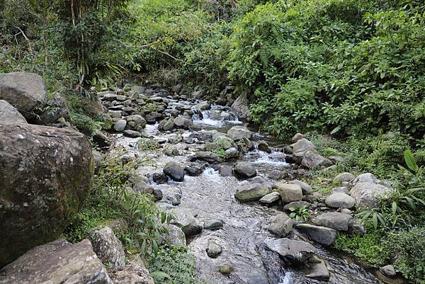 IMG_2637.JPG IMG_2637.JPG