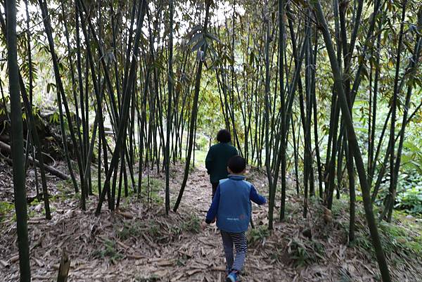 IMG_2641.JPG IMG_2641.JPG