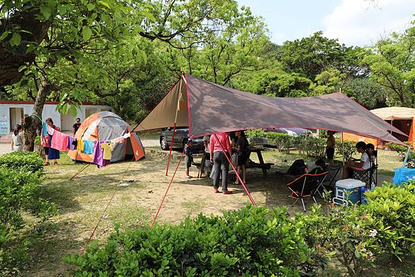 IMG_3378.JPG IMG_3378.JPG