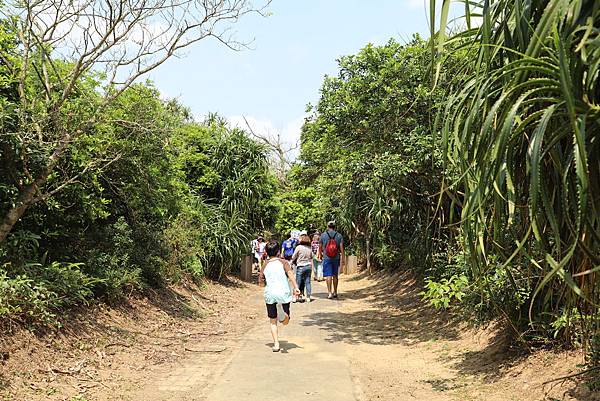 IMG_3474.JPG IMG_3474.JPG