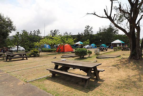 IMG_3563.JPG IMG_3563.JPG