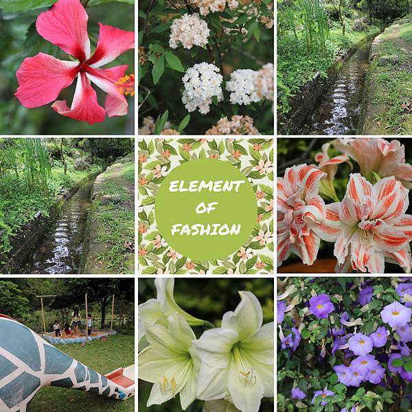 FotoJet6.jpg FotoJet6.jpg