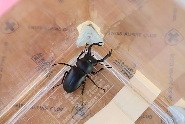 IMG_4847.JPG IMG_4847.JPG