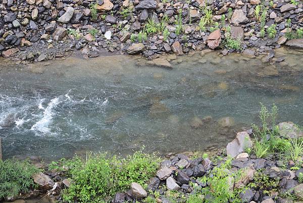 IMG_6261.JPG IMG_6261.JPG