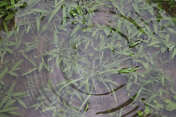 IMG_6273.JPG IMG_6273.JPG