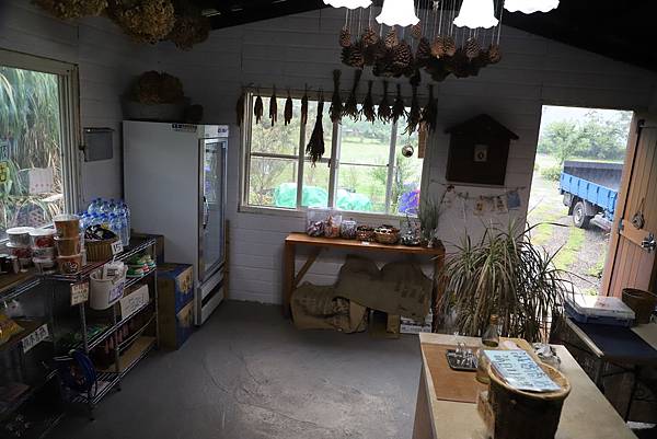 IMG_6466.JPG IMG_6466.JPG