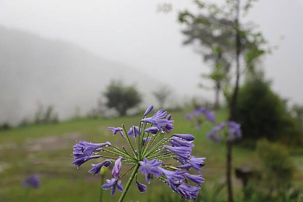 IMG_6470.JPG IMG_6470.JPG