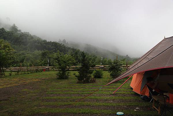 IMG_6482.JPG IMG_6482.JPG