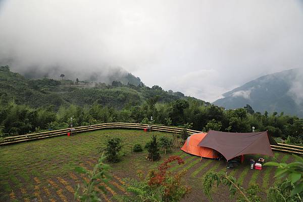 IMG_6496.JPG IMG_6496.JPG