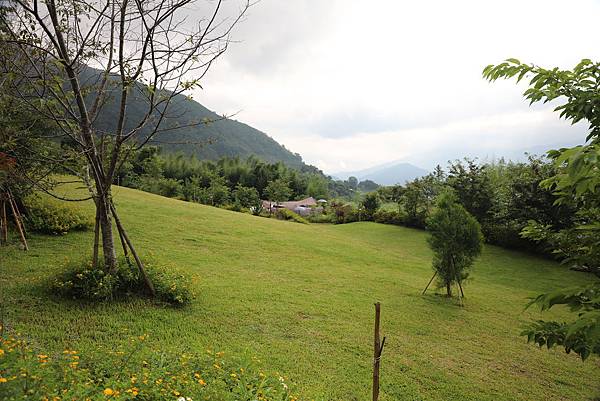 IMG_6668.JPG IMG_6668.JPG