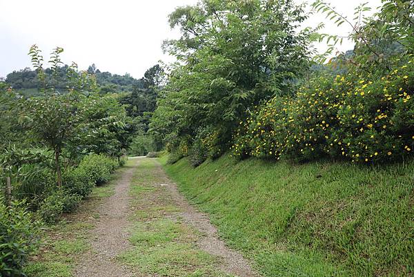 IMG_6685.JPG IMG_6685.JPG