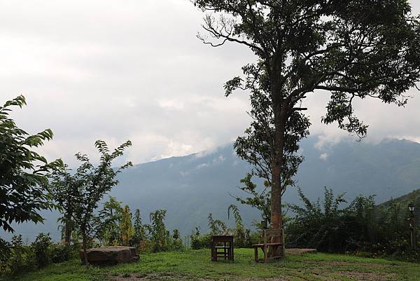 IMG_6723.JPG IMG_6723.JPG