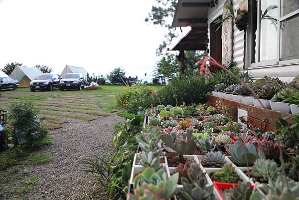 IMG_6766.JPG IMG_6766.JPG