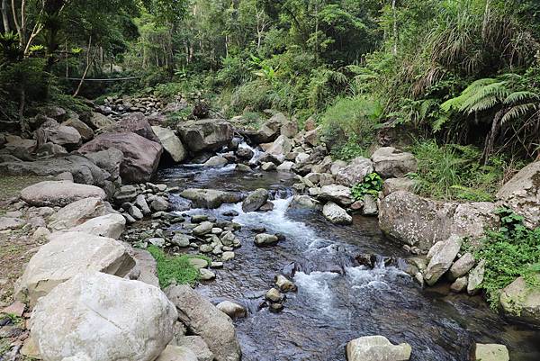 IMG_6129.JPG IMG_6129.JPG