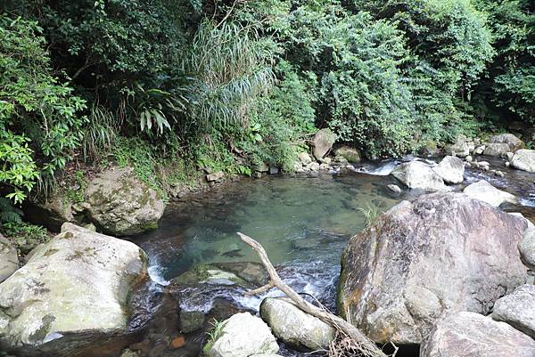 IMG_6130.JPG IMG_6130.JPG