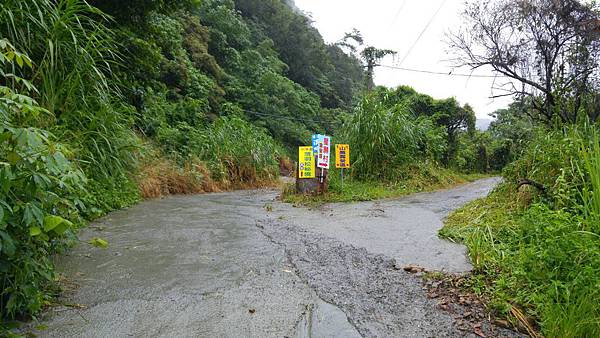 187675.jpg 187675.jpg