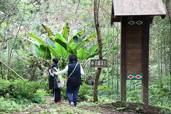 IMG_4452.JPG IMG_4452.JPG