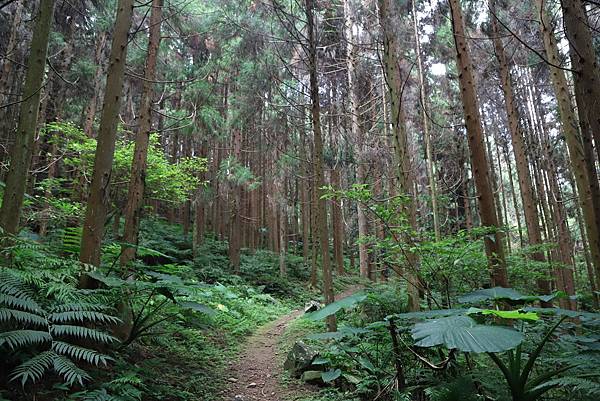 IMG_4477.JPG IMG_4477.JPG