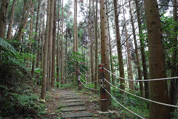 IMG_4484.JPG IMG_4484.JPG